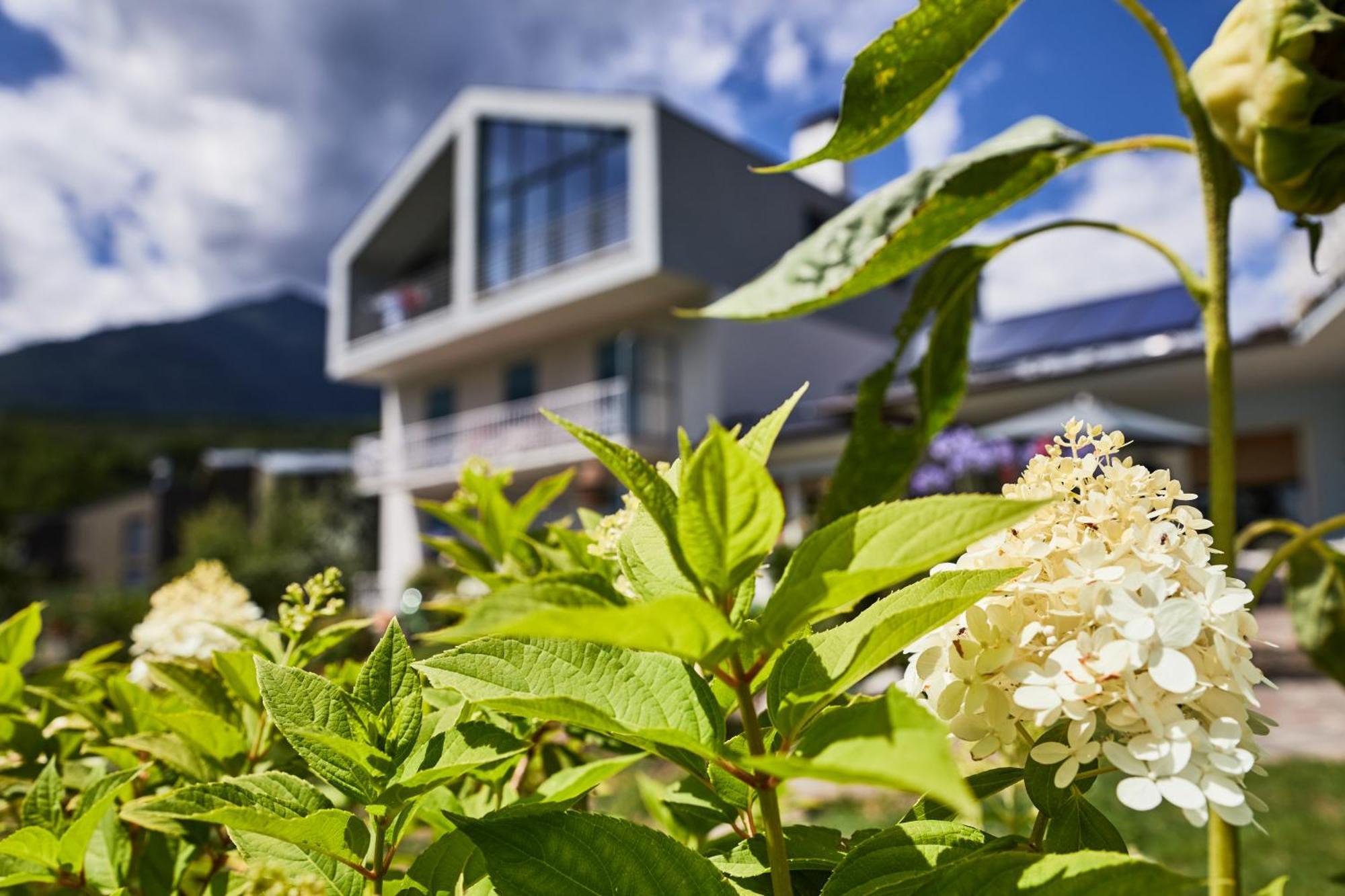 Apartmenthaus Haringer Novacella Exteriör bild